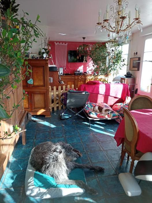 Home sitting Saint-Nic, France