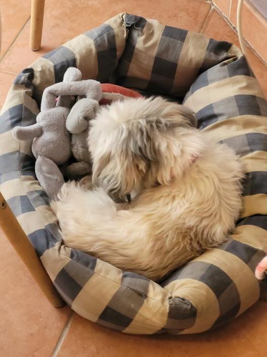 Home sitting Marseille, France