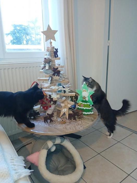 Home sitting Colombier, France