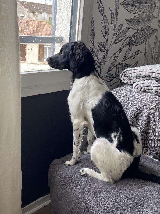 Home sitting Arles, France