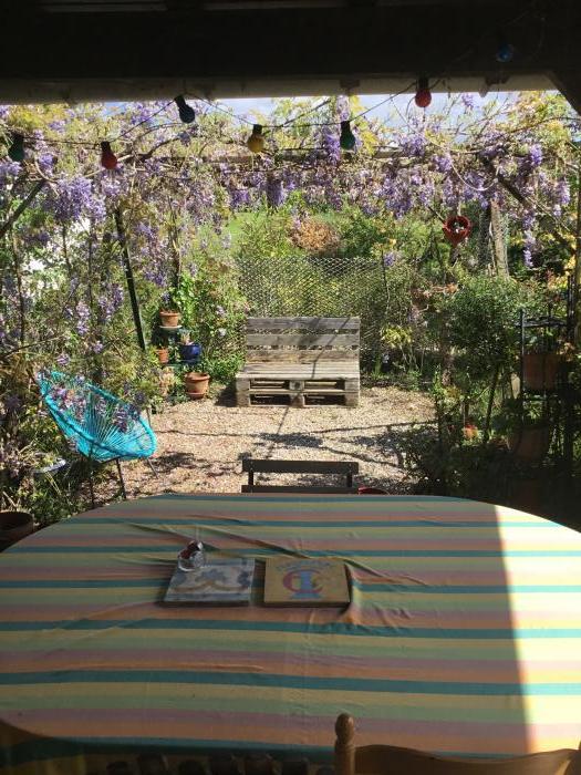 Home sitting Rabastens, France