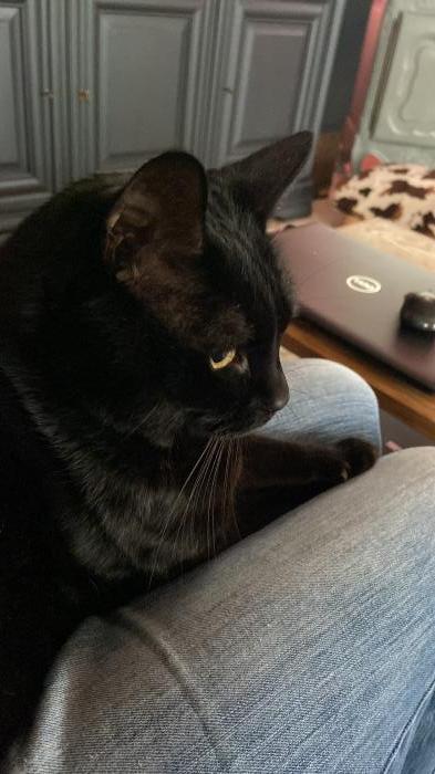 Home sitting Langon, France