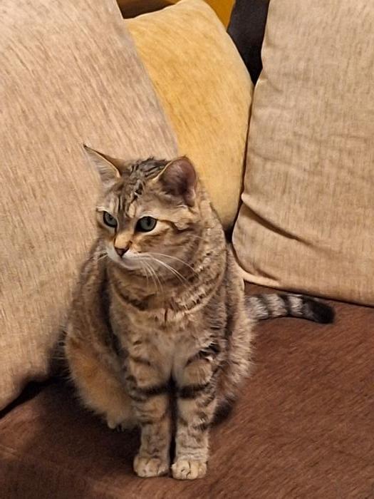 Home sitting Sauvian, France