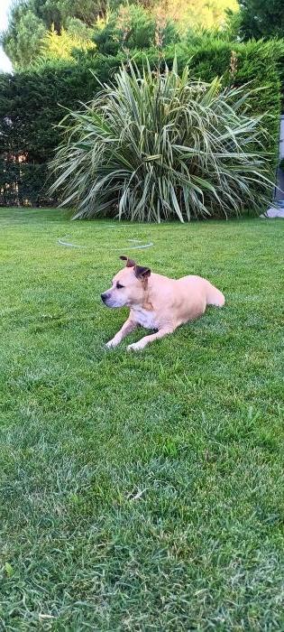 Home sitting Bouchet, France