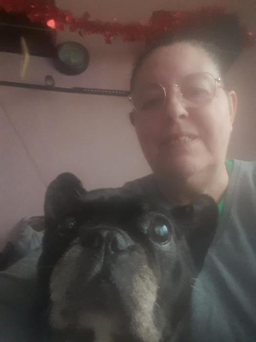 house sitter, France, Le Havre