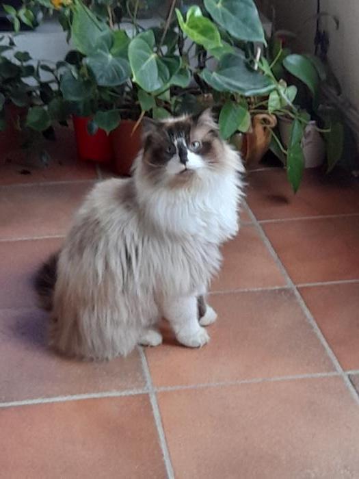 Home sitting Saint-Dionisy, France