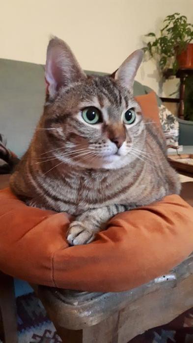 Home sitting Chambonas, France