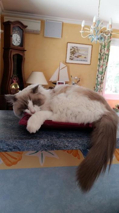 Home sitting La Ben&acirc;te, France