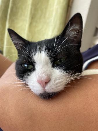 Home sitting Geispolsheim, France