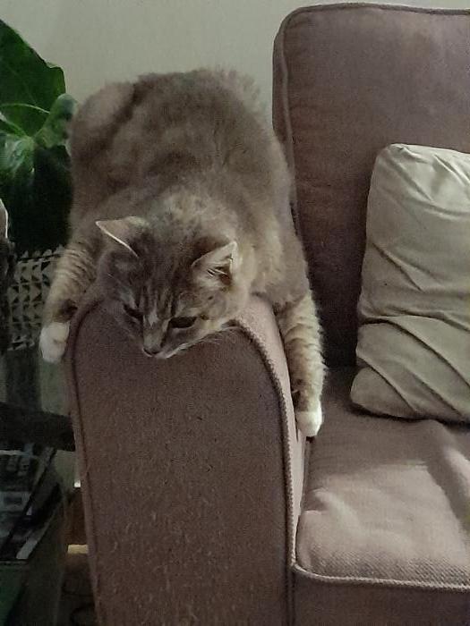 Home sitting Talmont-Saint-Hilaire, France