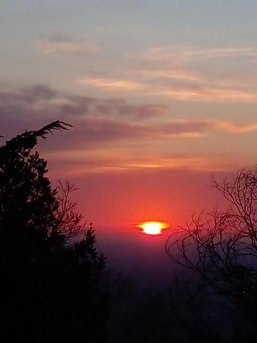 Home sitting Brescia, Italy