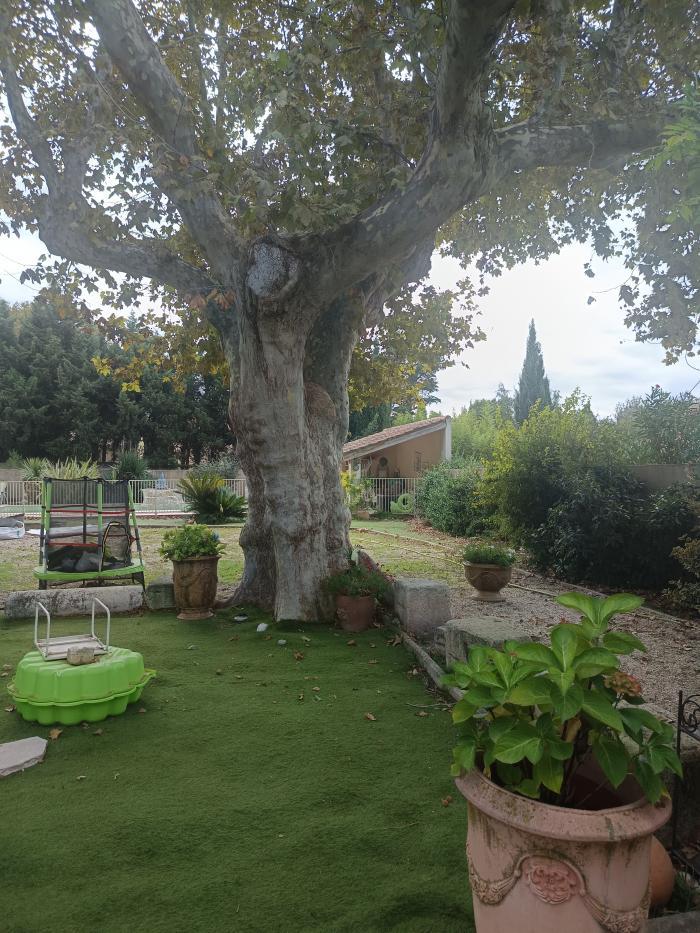 home sitting, France, Saint-Rémy-de-Provence