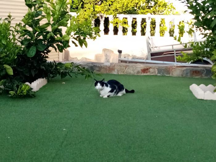 Home sitting Quesada, Spain