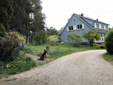 Home sitting Durmenach, France