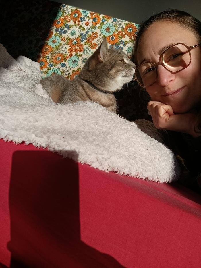 Home sitting Laval, France