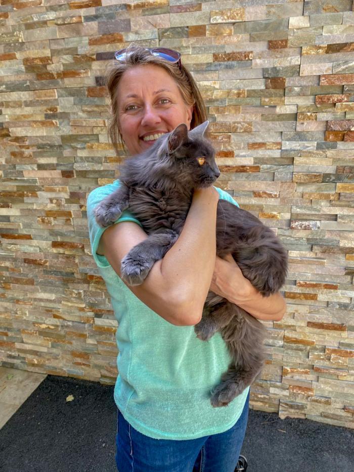 Home sitting Montpellier, France