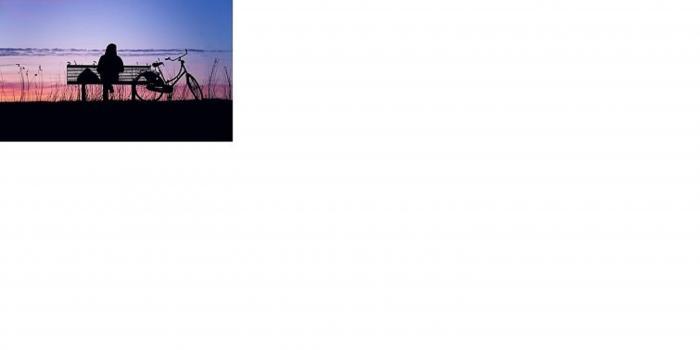 Home sitting Sabl&eacute;-sur-Sarthe, France